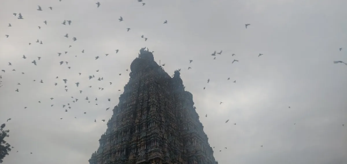 Kamera na cestách: India z výšky - fotogaléria