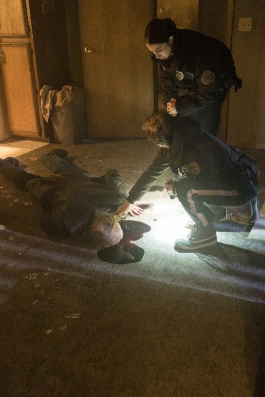 Fargo (Fargo III: The Law of Inevitability), 2017 - fotogaléria
