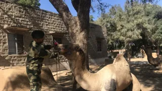 Kamera na cestách: India z výšky (1/2)