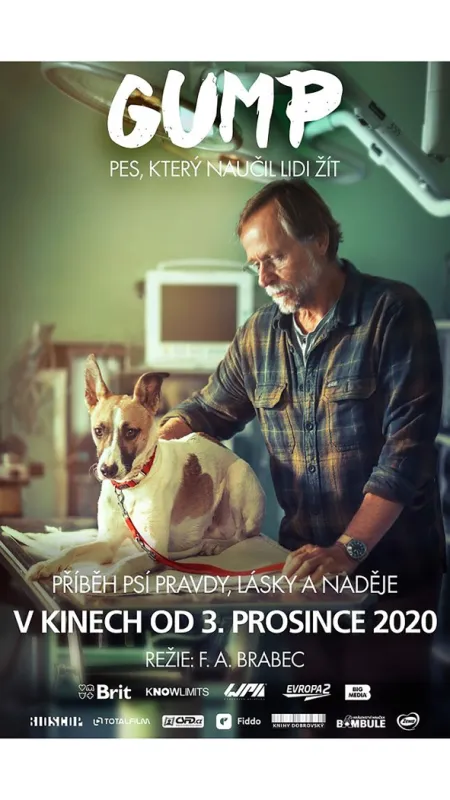 Gump - pes, ktorý naučil ľudí žiť (Gump - pes, který naučil lidi žít), 2021 - fotogaléria