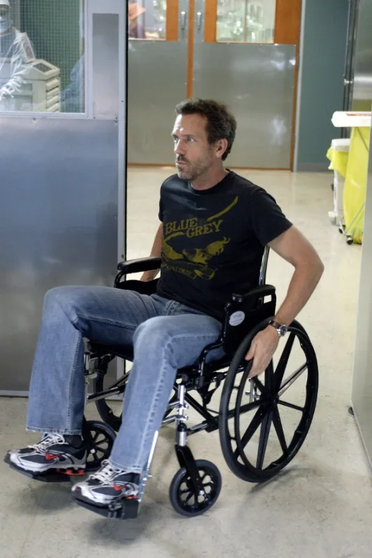 Dr. House (Dr. House - Skin Deep), 2006 - fotogaléria