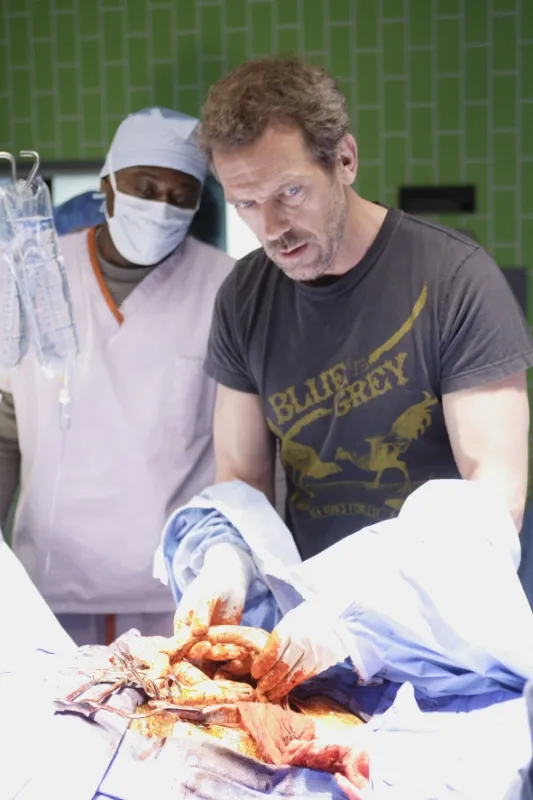 Dr. House (Dr. House - Skin Deep), 2006 - fotogaléria