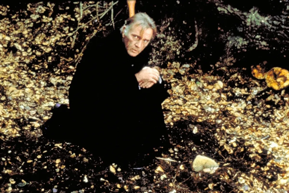 Zproštění viny (Absolution), 1978 - fotogaléria
