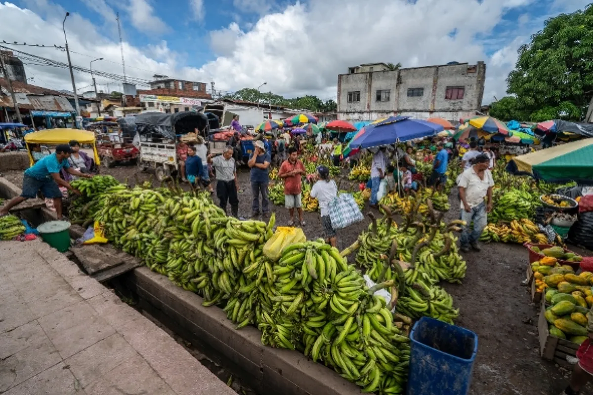 Na ceste po strednom Peru, 2019 - fotogaléria