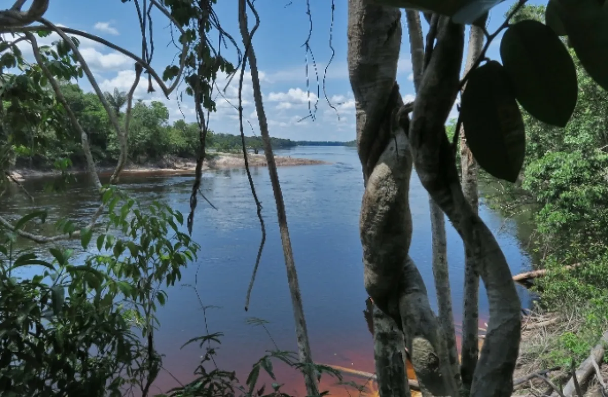 Uakari, Humboldtova stratená opica, 2018 - fotogaléria