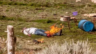 Yellowstone (2/9)