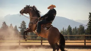 Yellowstone (2/9)
