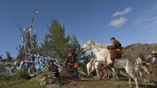Krotiteľ koní