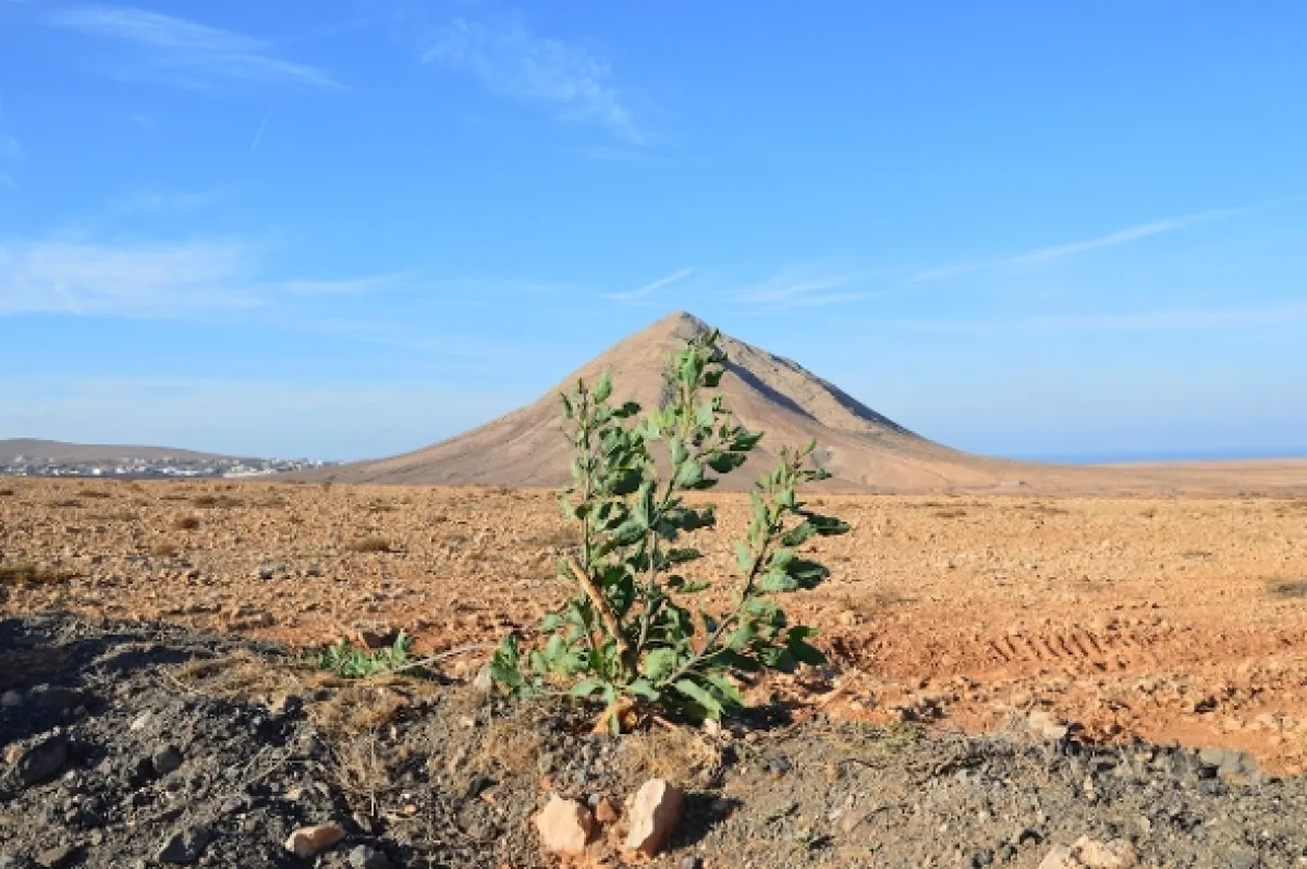 Na ceste po ostrove Fuerteventura, 2018 - fotogaléria