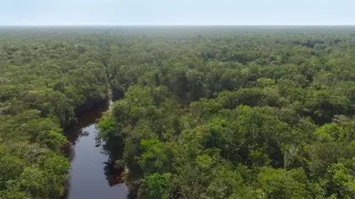 Uakari, Humboldtova stratená opica