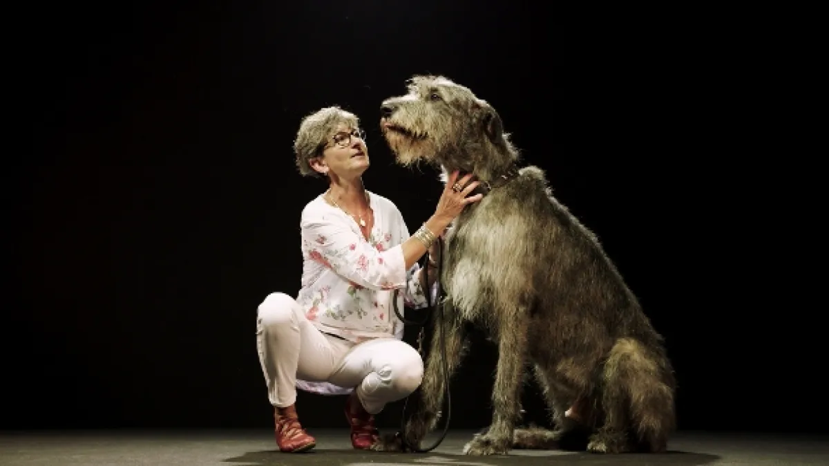 Psy a my: Tajomstvo jedného priateľstva (Dogs & Us: The Secret of a Friendship), 2019 - fotogaléria