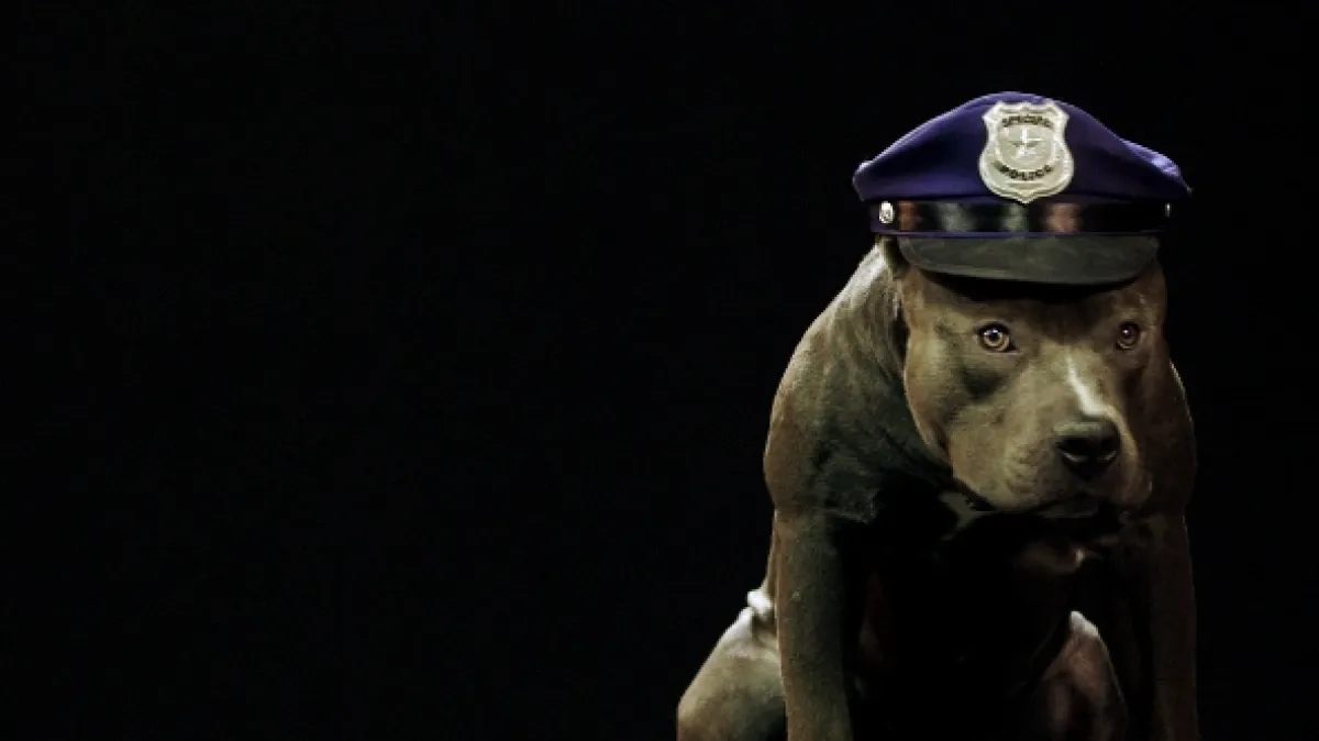 Psy a my: Tajomstvo jedného priateľstva (Dogs & Us: The Secret of a Friendship), 2019 - fotogaléria