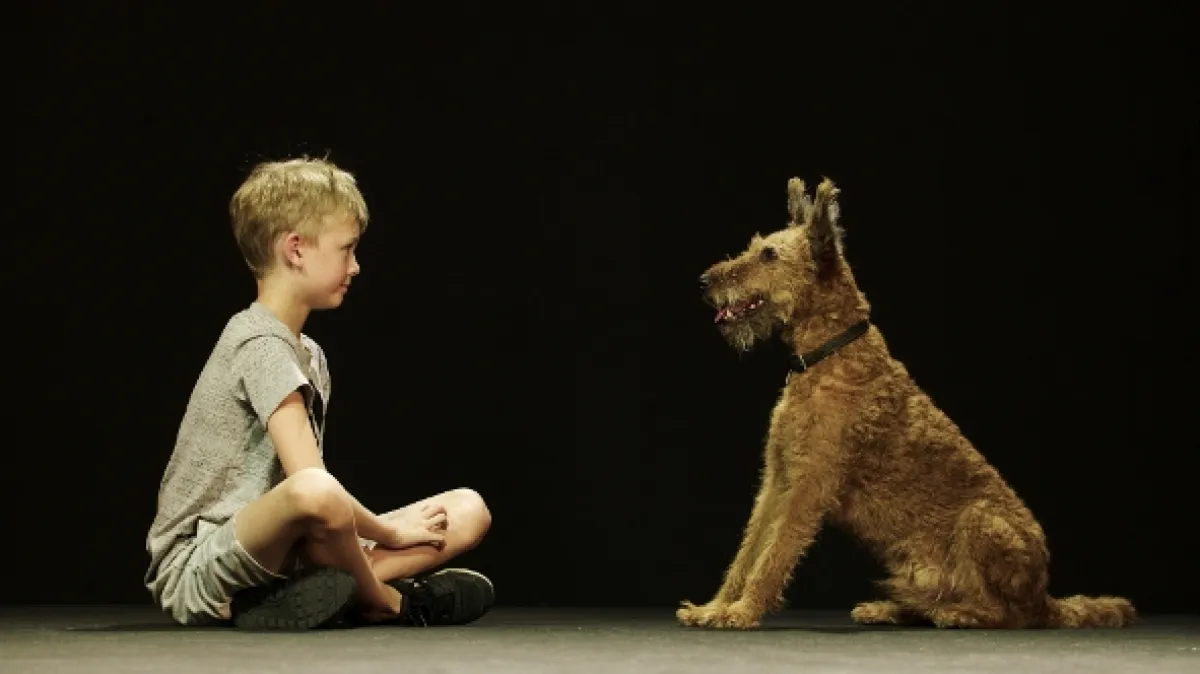 Psy a my: Tajomstvo jedného priateľstva (Dogs & Us: The Secret of a Friendship), 2019 - fotogaléria