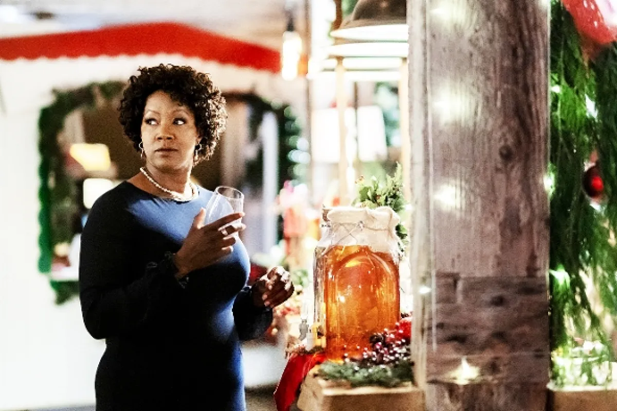 Vianoce v Brusnicovej aleji (Cranberry Christmas), 2020 - fotogaléria