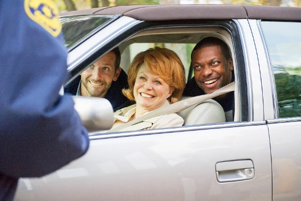 Terapia láskou (Silver Linings Playbook), 2012 - fotogaléria