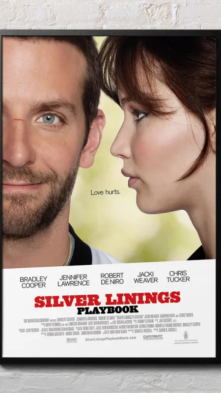 Terapia láskou (Silver Linings Playbook), 2012 - fotogaléria