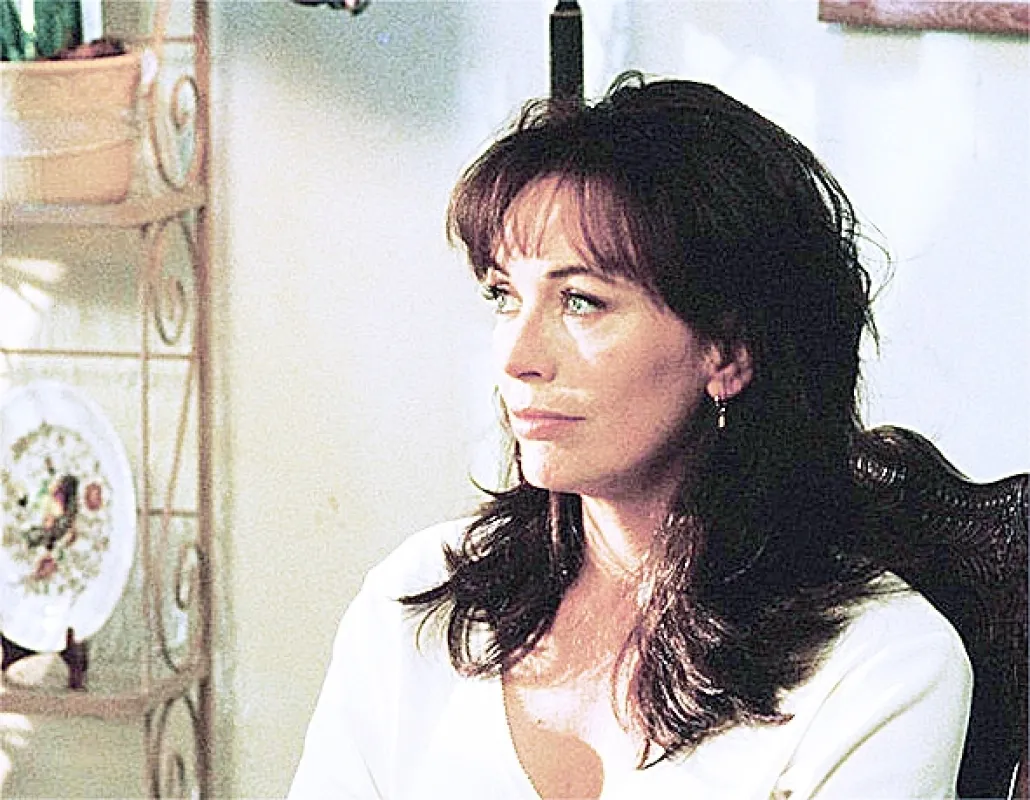 Dokonalá manželka (PERFECT WIFE, THE), 2001 - fotogaléria