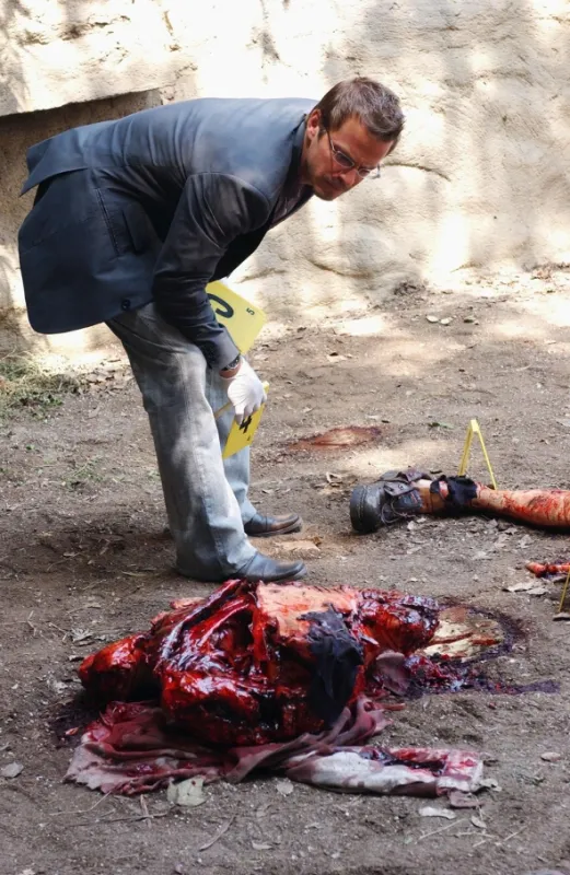 Kriminálka New York (CSI: NY 2), 2005 - fotogaléria