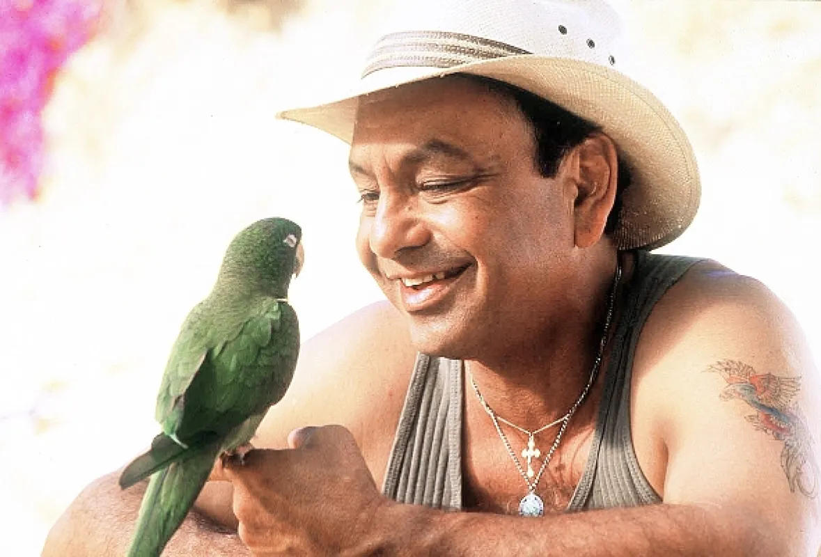 Papoušek Paulie (Paulie), 1998 - fotogaléria