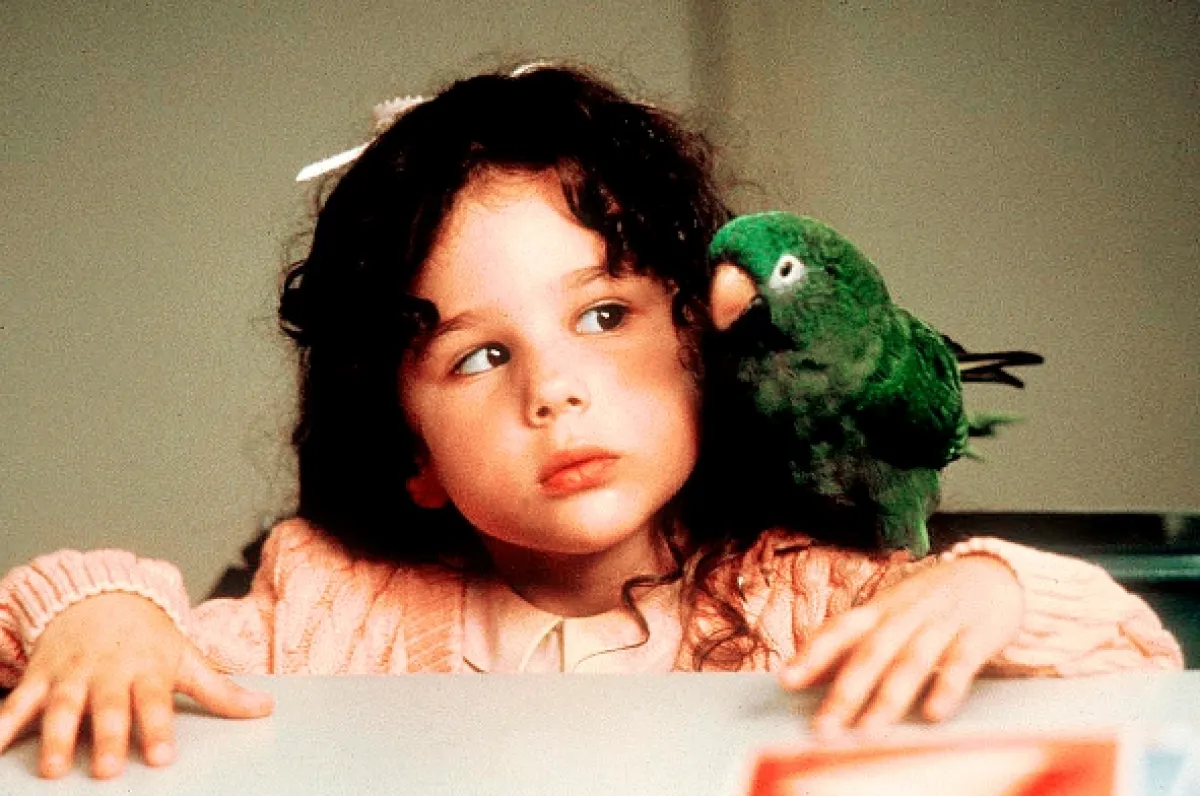Papoušek Paulie (Paulie), 1998 - fotogaléria