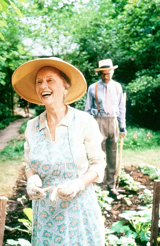 Šofér slečny Daisy (Driving Miss Daisy), 1989 - fotogaléria