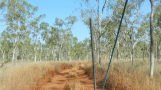 Českí a slovenskí trampovia v Austrálii