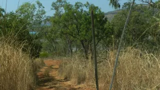 Českí a slovenskí trampovia v Austrálii