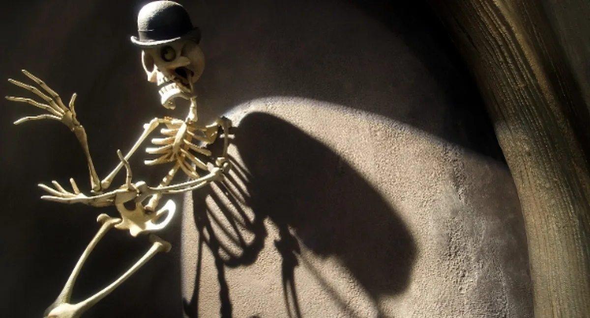 Mrtvá nevěsta (Tim Burton’s Corpse Bride), 2005 - fotogaléria