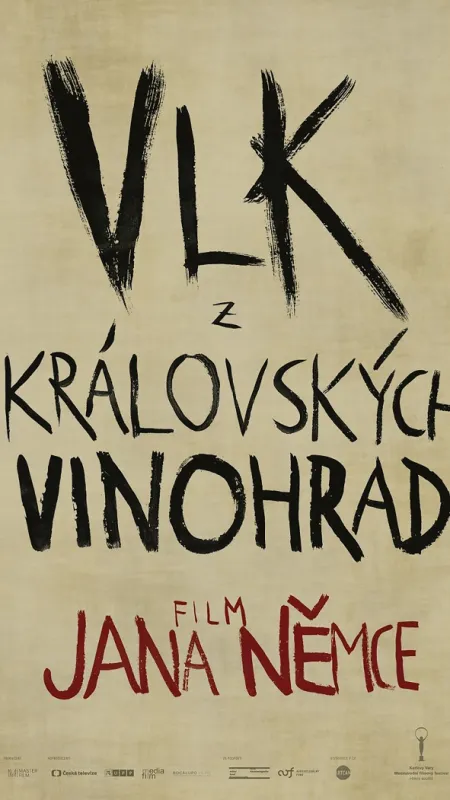 Vlk z Královských Vinohrad, 2016 - fotogaléria