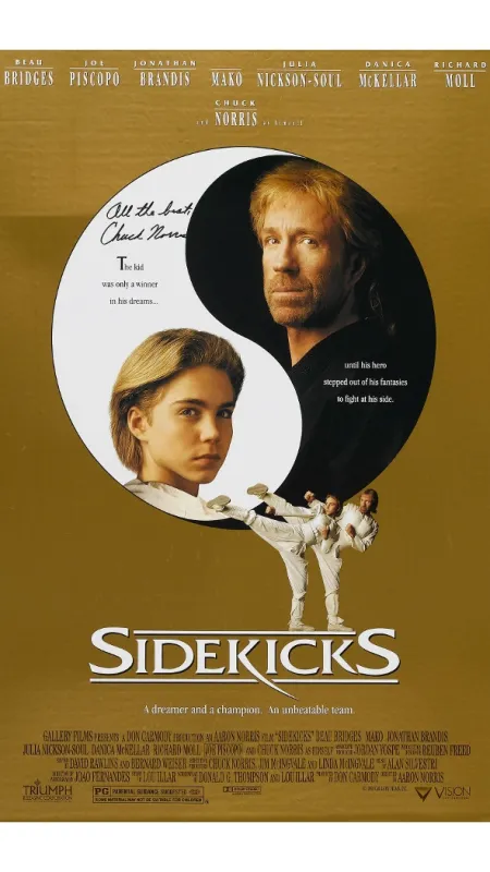 Mistr kickboxu (Sidekicks), 1992 - fotogaléria