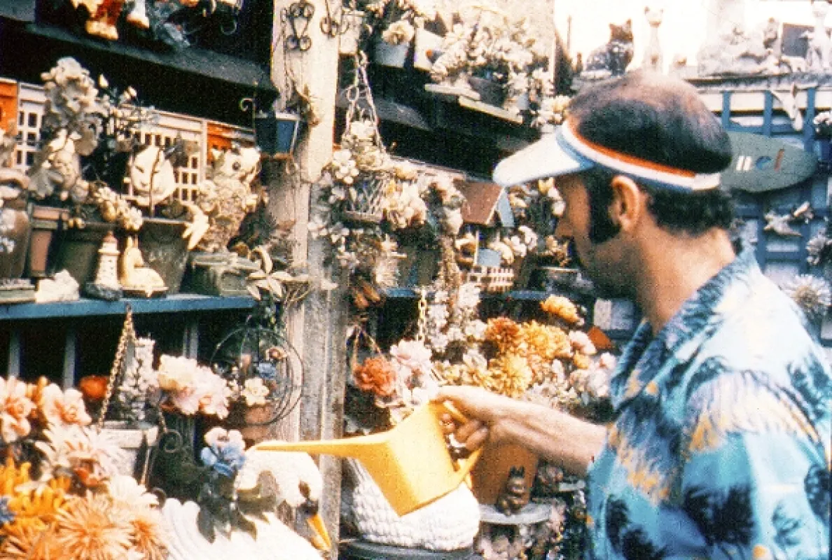 Jubilee, 1978 - fotogaléria