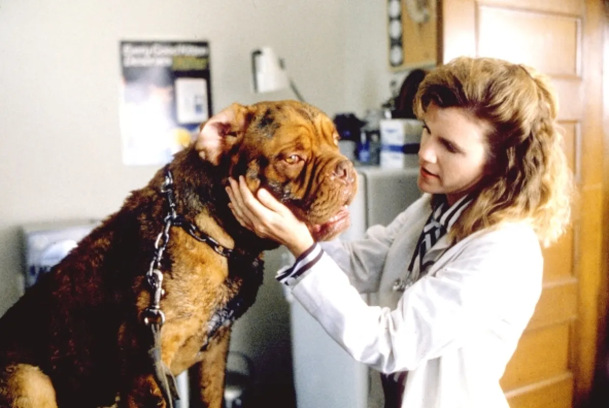 Turner a Hooch (Turner and Hooch), 1989 - fotogaléria