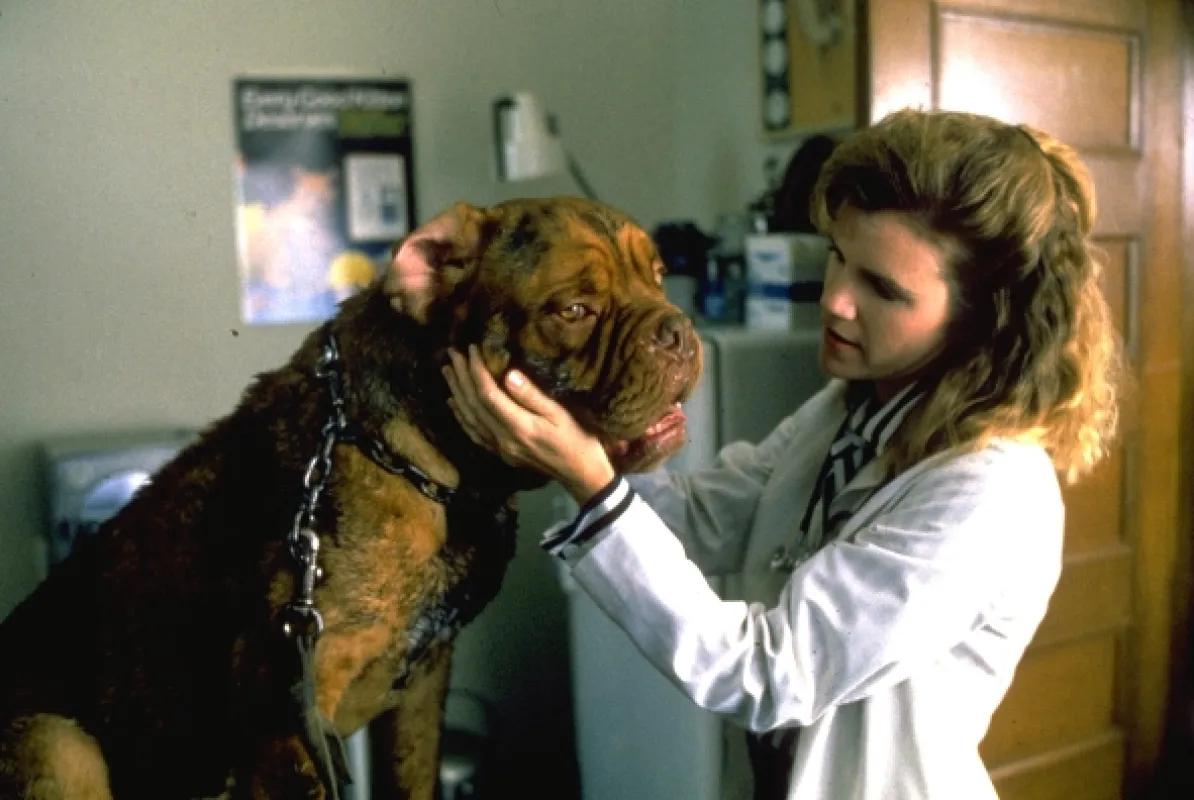 Turner a Hooch (Turner and Hooch), 1989 - fotogaléria