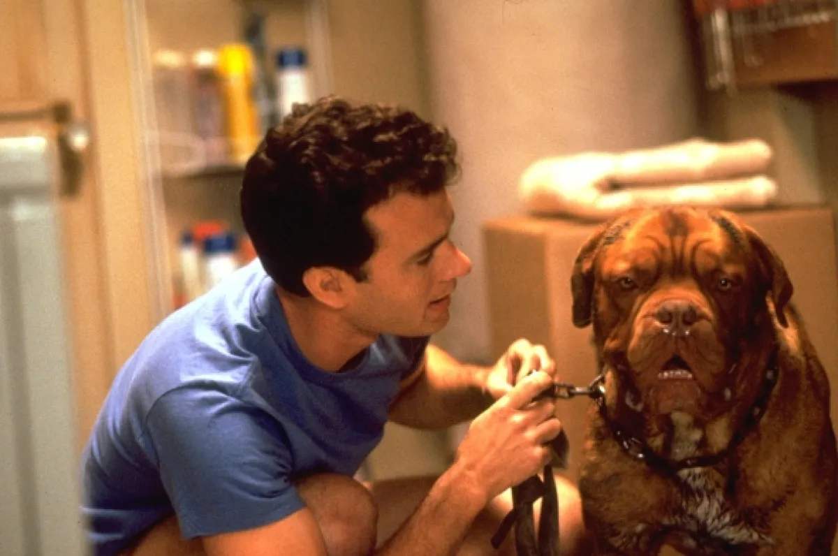Turner a Hooch (Turner and Hooch), 1989 - fotogaléria