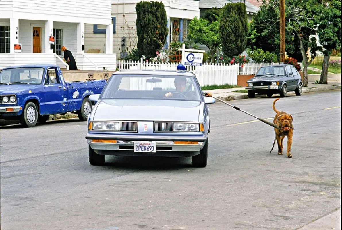 Turner a Hooch (Turner and Hooch), 1989 - fotogaléria