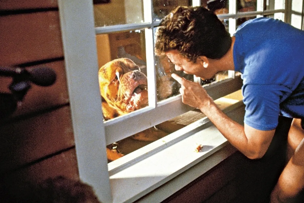 Turner a Hooch (Turner and Hooch), 1989 - fotogaléria