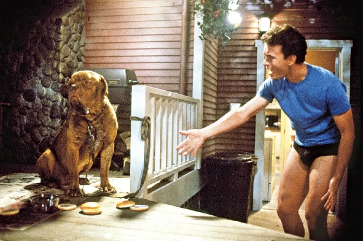 Turner a Hooch (Turner and Hooch), 1989 - fotogaléria