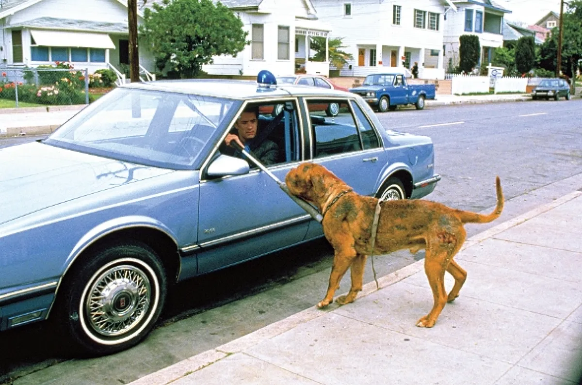 Turner a Hooch (Turner and Hooch), 1989 - fotogaléria