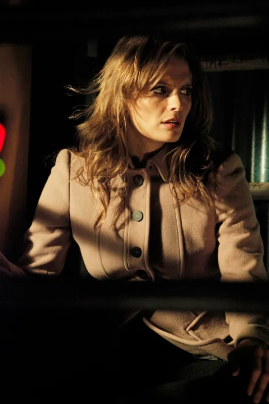 Vtierka Castle (Castle V - After Hours, Significant Others), 2012 - fotogaléria