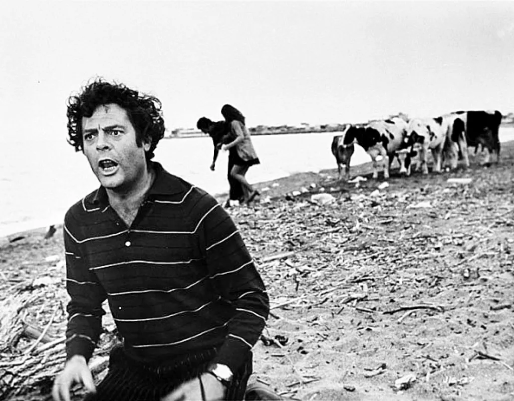Dráma žiarlivosti (Dramma della gelosia: tutti i particolari in cronaca), 1970 - fotogaléria