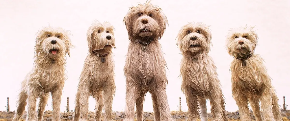Psí ostrov (Isle of Dogs), 2018 - fotogaléria
