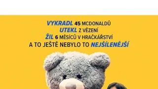 Nepolapitelný