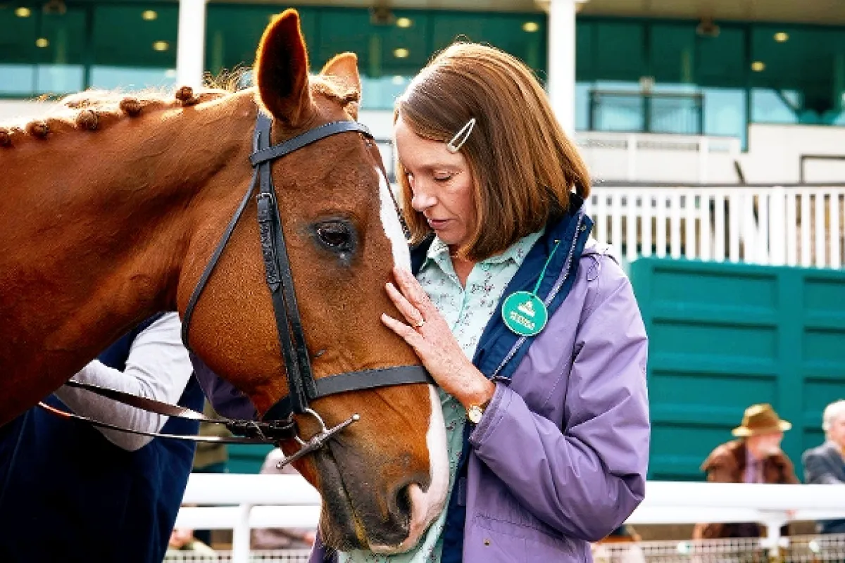 Choď za svojím koňom (Dream Horse), 2020 - fotogaléria