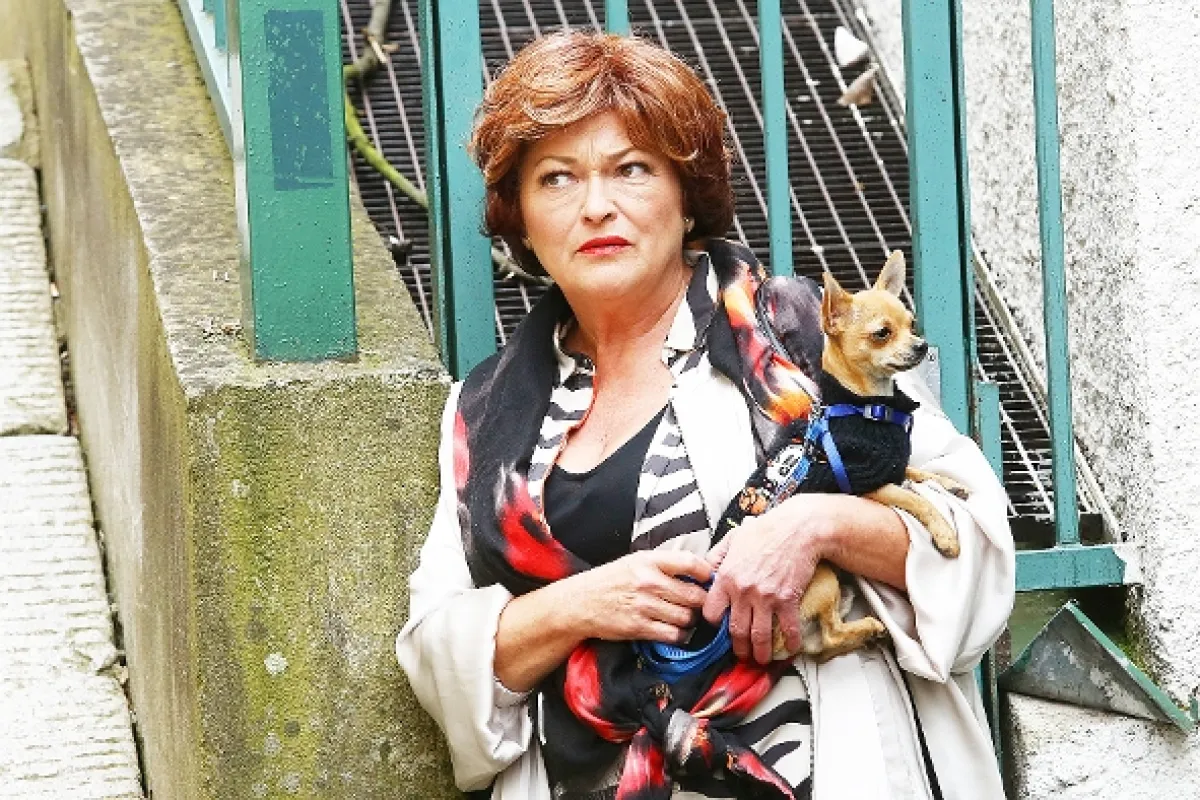Kapitán Exner, 2017 - fotogaléria