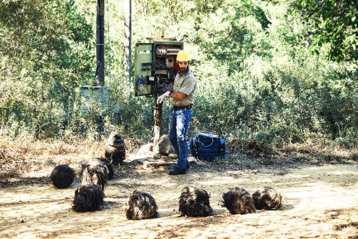 Votrelci útočia (Critters Attack!), 2019 - fotogaléria