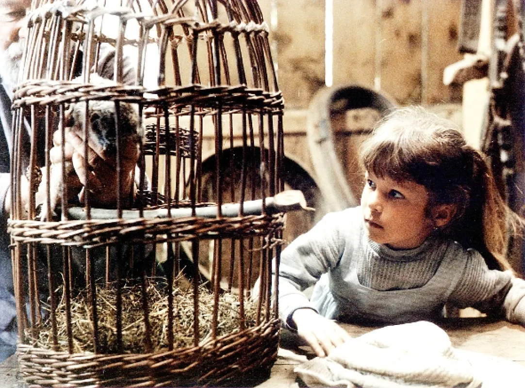 Veverka a kouzelná mušle, 1988 - fotogaléria