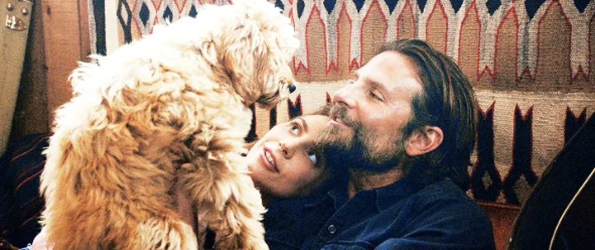 Zrodila se hvězda (A Star Is Born), 2018 - fotogaléria