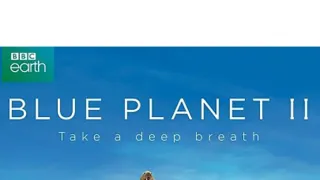 Modrá planeta II (7)