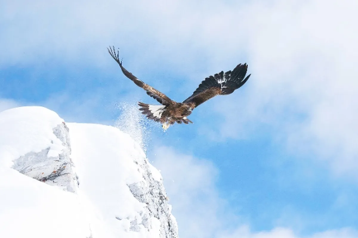 Králi hôr (The Way of the Eagle/Brothers of the Wind), 2015 - fotogaléria