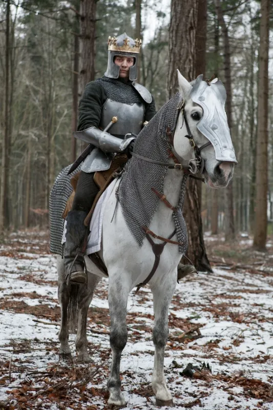 Bílá královna (White Queen, The), 2013 - fotogaléria